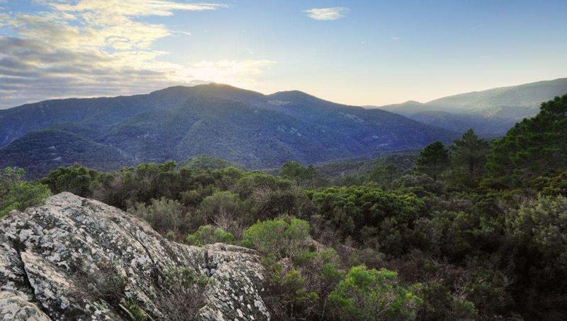 Massif des Maures